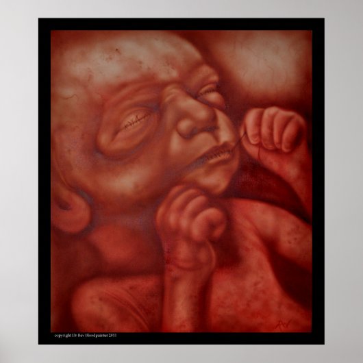 Vogelcontrole Poster (Voorkant)