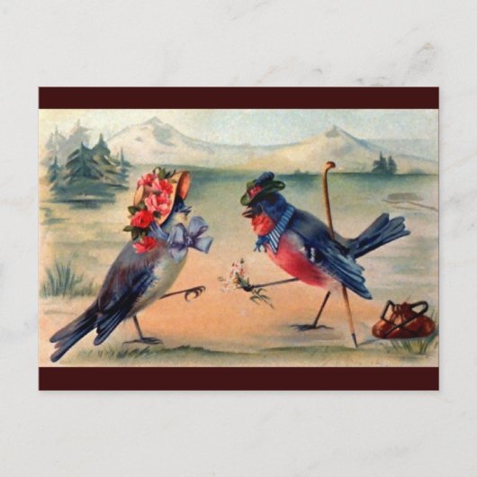 Vogelcursus Briefkaart (Voorkant)