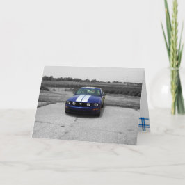 Vogeldag Muskusauto Blauwe kaart