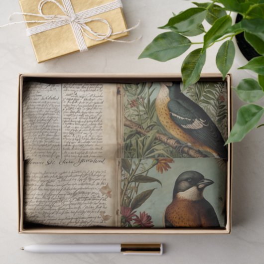  Vogeldagboek Tissuepapier (Geschenk)