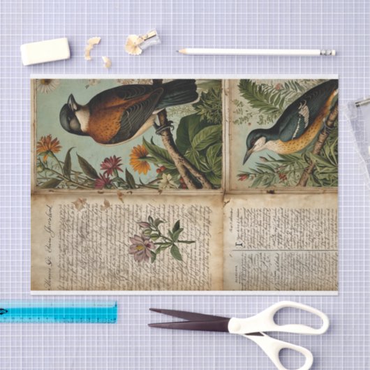  Vogeldagboek Tissuepapier (Craft)