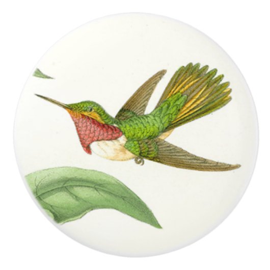 Vogeldier Wilde dieren Knop (Voorkant)