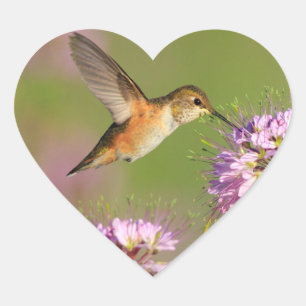 Vogeldieren en wilde bloemen hart sticker