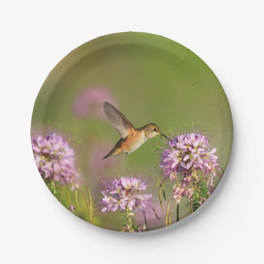 Vogeldieren en wilde bloemen papieren bordje (Voorkant)