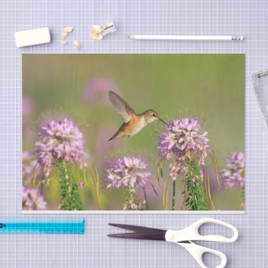 Vogeldieren en wilde bloemen tissuepapier (Craft)