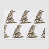 Vogeldoekpapier voor ontkoppeling tissuepapier (Voorkant)