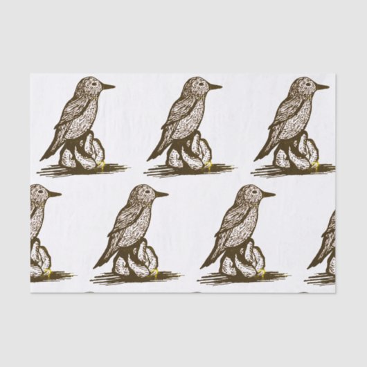 Vogeldoekpapier voor ontkoppeling tissuepapier (Voorkant)