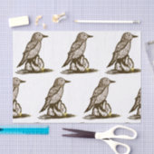 Vogeldoekpapier voor ontkoppeling tissuepapier (Craft)