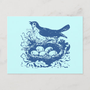  vogeleieren en nesteieren briefkaart