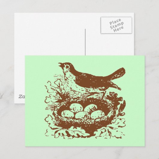  vogeleieren en nesteieren briefkaart (Voorkant / Achterkant)