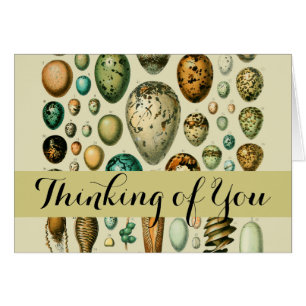 vogeleieren Franse viseieren