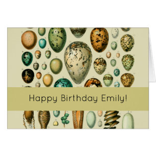 vogeleieren Franse viseieren