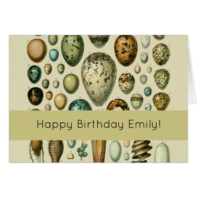  vogeleieren Franse viseieren (Voorkant Horizontaal)