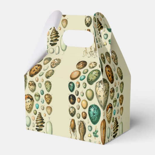 vogeleieren Franse viseieren Bedankdoosjes (Achterkant)