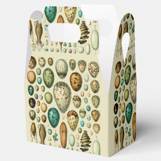 vogeleieren Franse viseieren Bedankdoosjes (Geopend)