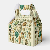 vogeleieren Franse viseieren Bedankdoosjes (Voorkant Zijde)