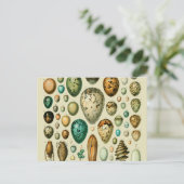  vogeleieren Franse viseieren Briefkaart (Staand voorkant)