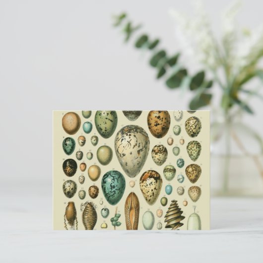  vogeleieren Franse viseieren Briefkaart (Staand voorkant)