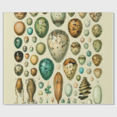  vogeleieren Franse viseieren Cadeaupapier (Vlak)