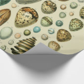  vogeleieren Franse viseieren Cadeaupapier (Hoek)