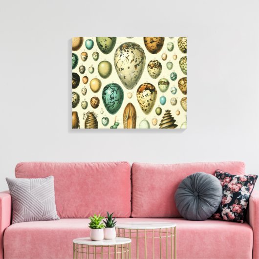 vogeleieren Franse viseieren Canvas Afdruk (Insitu (Woonkamer))