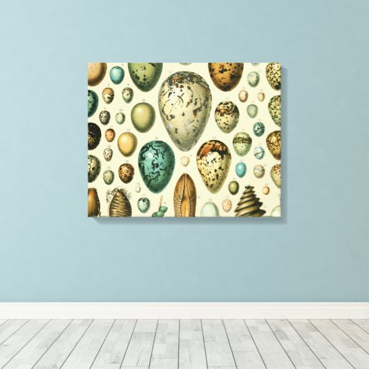 vogeleieren Franse viseieren Canvas Afdruk (Insitu (Houten vloer))