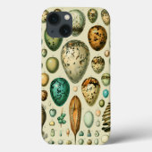 vogeleieren Franse viseieren Case-Mate iPhone Case (Achterkant)