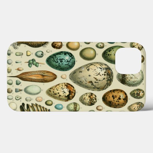 vogeleieren Franse viseieren Case-Mate iPhone Case (Achterkant (horizontaal))
