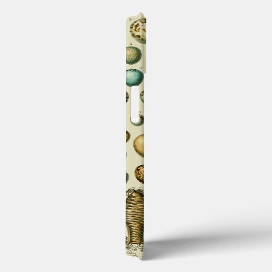 vogeleieren Franse viseieren Case-Mate iPhone Case (Achterkant / Rechts)