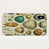 vogeleieren Franse viseieren Case-Mate iPhone Case (Achterkant (horizontaal))