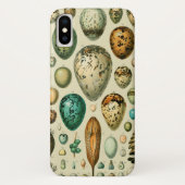 vogeleieren Franse viseieren Case-Mate iPhone Case (Achterkant)
