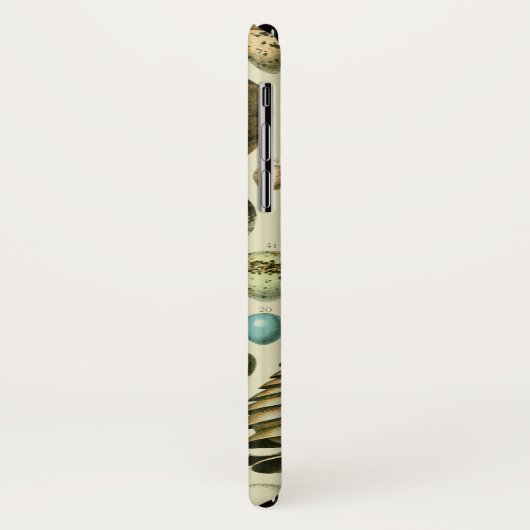 vogeleieren Franse viseieren Case-Mate iPhone Case (Achterkant/links)