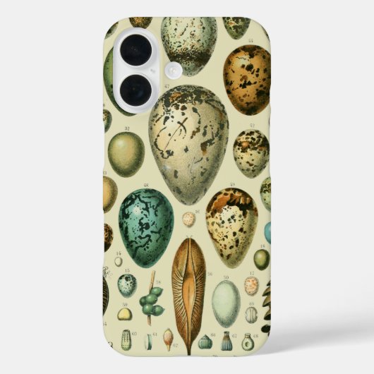  vogeleieren Franse viseieren Case-Mate iPhone Case (Achterkant)