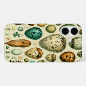  vogeleieren Franse viseieren Case-Mate iPhone Case (Achterkant (horizontaal))