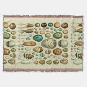  vogeleieren Franse viseieren Deken (Voorkant)