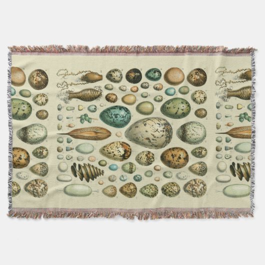  vogeleieren Franse viseieren Deken (Voorkant)