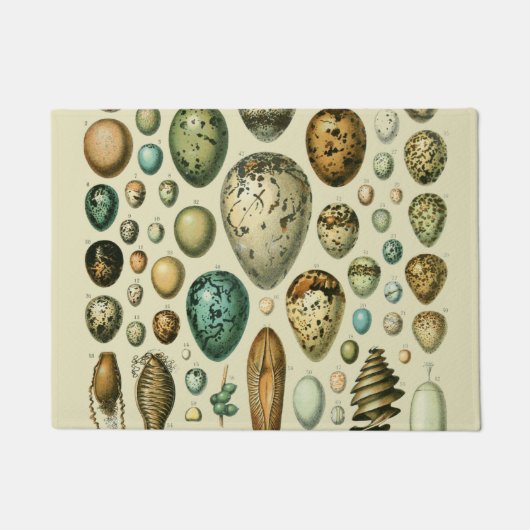  vogeleieren Franse viseieren Deurmat (Voorkant)