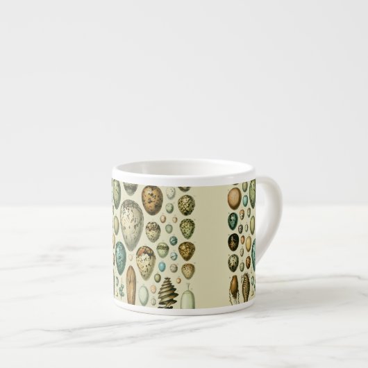  vogeleieren Franse viseieren Espresso Kop (Voorkant rechts)