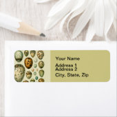  vogeleieren Franse viseieren Etiket (Insitu)