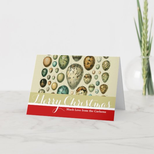 vogeleieren Franse viseieren Feestdagen Kaart (Voorkant)