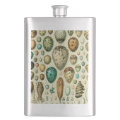  vogeleieren Franse viseieren Flacon (Voorkant)