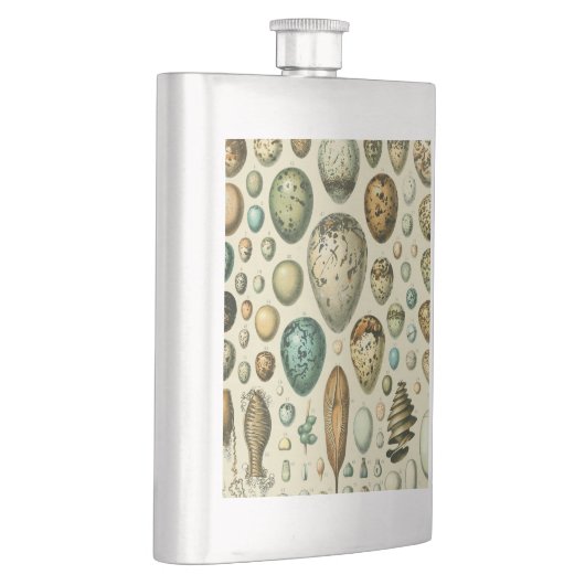  vogeleieren Franse viseieren Flacon (Rechts)