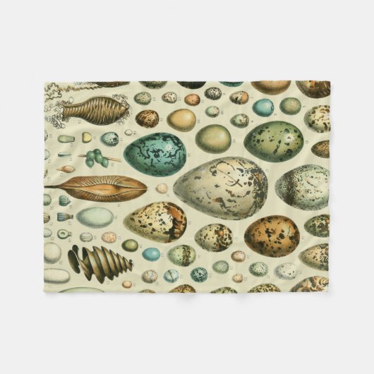 vogeleieren Franse viseieren Fleece Deken (Voorkant (Horizontaal))