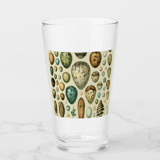  vogeleieren Franse viseieren Glas (Voorkant)