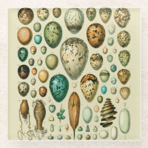 vogeleieren Franse viseieren Glazen Onderzetter