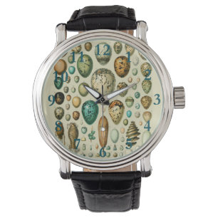 vogeleieren Franse viseieren Horloge