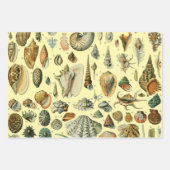 vogeleieren Franse viseieren Inpakpapier Vel (Voorkant 2)