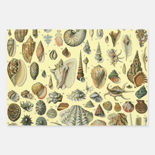 vogeleieren Franse viseieren Inpakpapier Vel (Voorkant 2)