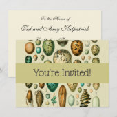  vogeleieren Franse viseieren Kaart (Voorkant / Achterkant)