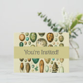  vogeleieren Franse viseieren Kaart (Staand voorkant)